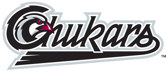 Idaho Falls Chukars 2004-Pres Wordmark Logo iron on transfers for T-shirts